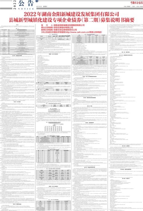 2022年湖南金阳新城建设发展集团有限公司县城新型城镇化建设专项企业债券（第二期）募集说明书摘要