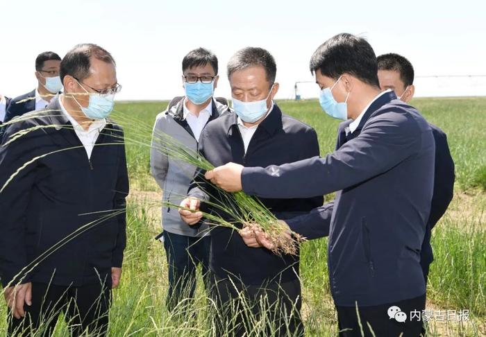 孙绍骋在陈巴尔虎旗和海拉尔区调研