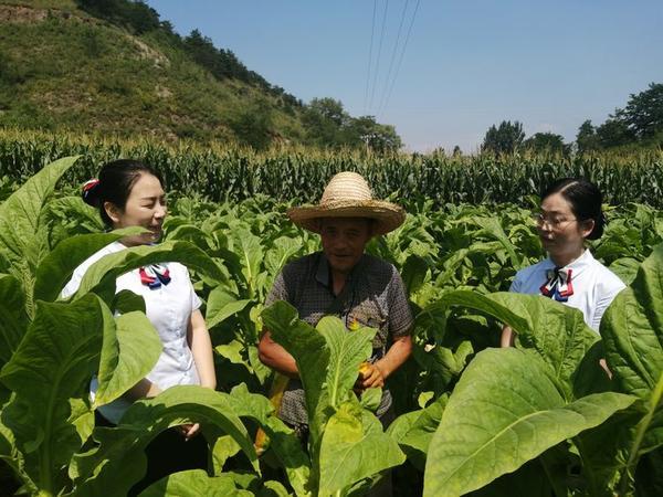 卢氏中原村镇银行 扎根深山开天地 扛稳责任尽担当