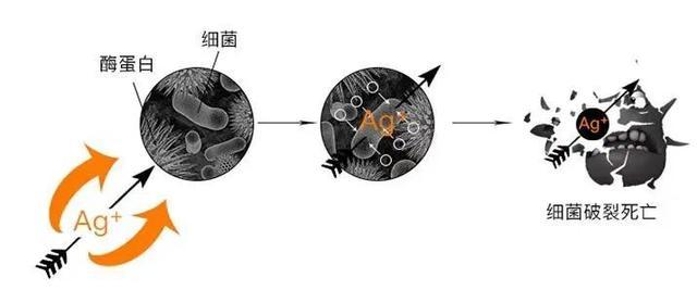 黄梅天，家里的抗菌毛巾、针织品怎么选？