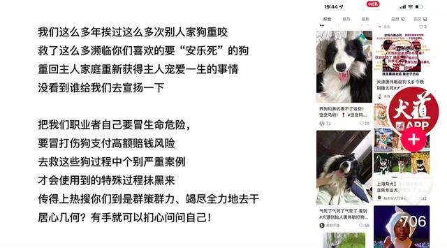 知名训犬师在学员面前虐狗，当事人回应：不会让狗受硬伤，面对咬人的犬只能用恶压制