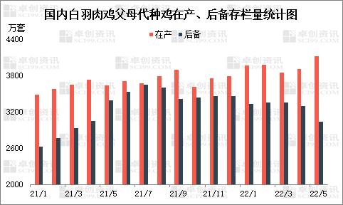 三季度白羽肉鸡苗价格偏弱运行 孵化环节难有盈利