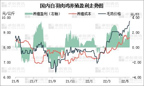 三季度白羽肉鸡苗价格偏弱运行 孵化环节难有盈利