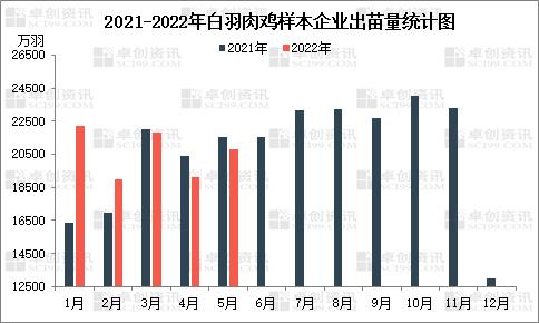 三季度白羽肉鸡苗价格偏弱运行 孵化环节难有盈利