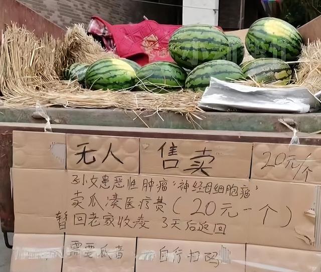 孙女患神经母细胞瘤需筹医药费，郑州一无人西瓜摊5天获捐10万元