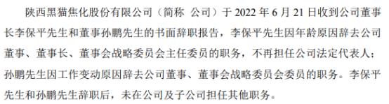 陕西黑猫董事长李保平辞职 2021年公司净利15.27亿