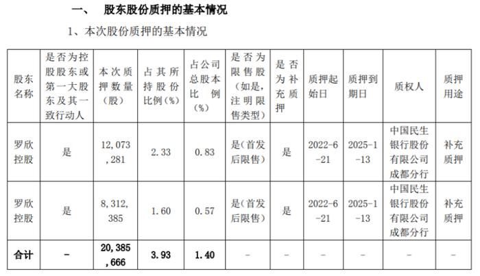 罗欣药业控股股东罗欣控股合计质押2038.57万股 用于补充质押