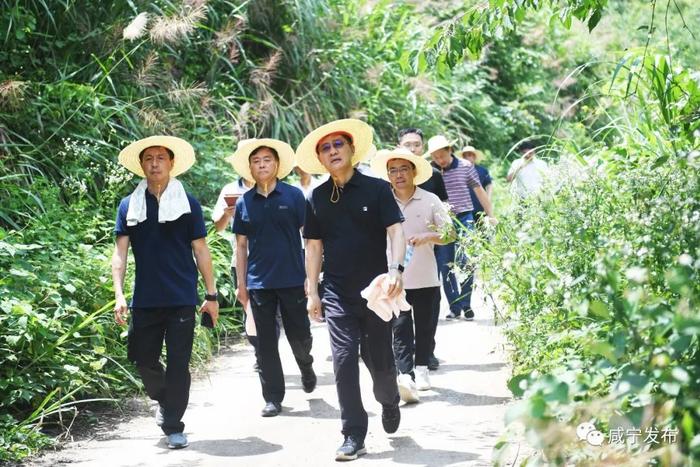 孟祥伟第十一次徒步巡查淦河：为建设武汉都市圈自然生态公园城市夯实生态本底