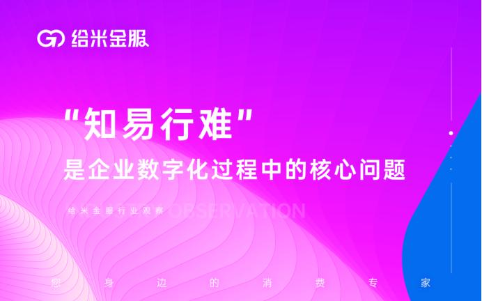 给米金服行业观察 | 在商业变革中，数字化转型依然是蓝海