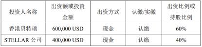 电鳗财经|中国宝安的股东们乐了：锂电池业务50亿元定增后又推出4.78亿美元海外投资项目