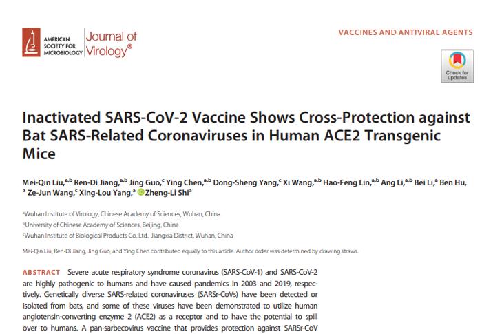 新冠灭活疫苗在小鼠模型中显示对蝙蝠类SARS冠状病毒具有交叉保护作用