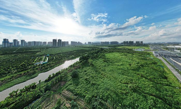 热雷雨来袭！台风“暹芭”或将生成！江门接下来的天气是……