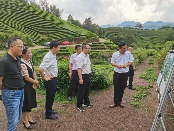 十大举措！金华市台办助力经济稳进提质在行动