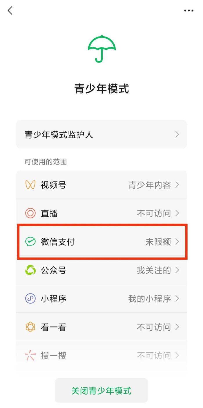 微信青少年模式上线支付限额功能 网友：大人更需要