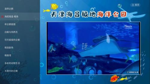 探秘天津海昌极地海洋公园，电视大屏发出体验“邀请函”！