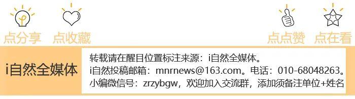 建设项目划拨土地的《供地方案》是否属于过程性信息？| 以案说法