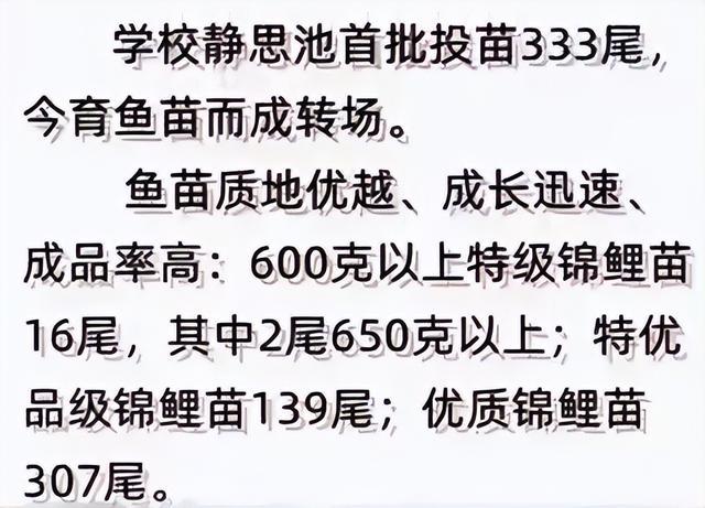 “净重696克的芒果”？学校回应高考“水果喜报”：非校方发布，不能变相宣传