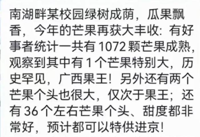 芒果重量暗喻高考分数？当地：要求学校撤回信息，不允许宣传成绩