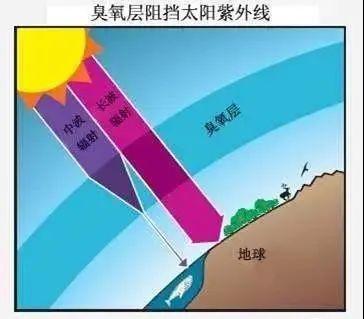 @定州工业企业、汽修喷漆行业、加油站、储油库……