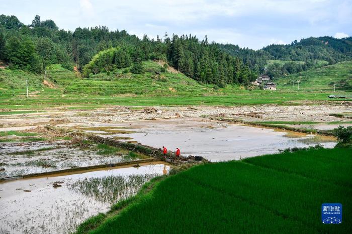 众志成城 重建家园——贵州从江洪水灾后重建进行时