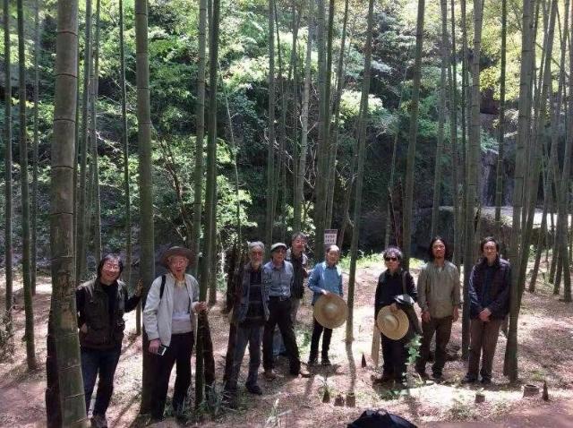 丁国红访谈 || 从＂一带一路＂艺术上海到纽约世贸中心再到香港巴塞尔:“将金缮作为方法的个人艺术计划”