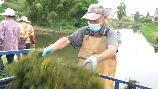 烈日炎炎下，这群人守护四团一方净水蓝天