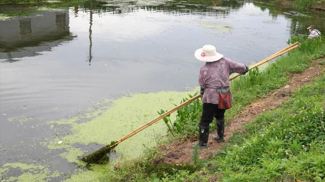 烈日炎炎下，这群人守护四团一方净水蓝天