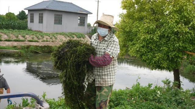 烈日炎炎下，这群人守护四团一方净水蓝天