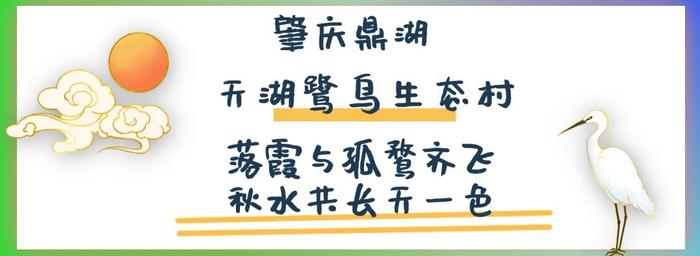 水天一色、仲夏荷花、万竹碧道……7月来肇庆这些地方就对了！