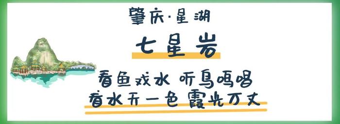 水天一色、仲夏荷花、万竹碧道……7月来肇庆这些地方就对了！