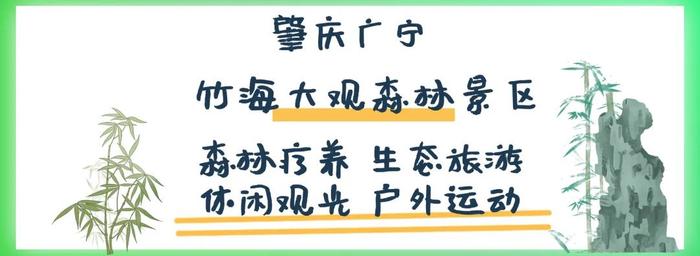 水天一色、仲夏荷花、万竹碧道……7月来肇庆这些地方就对了！