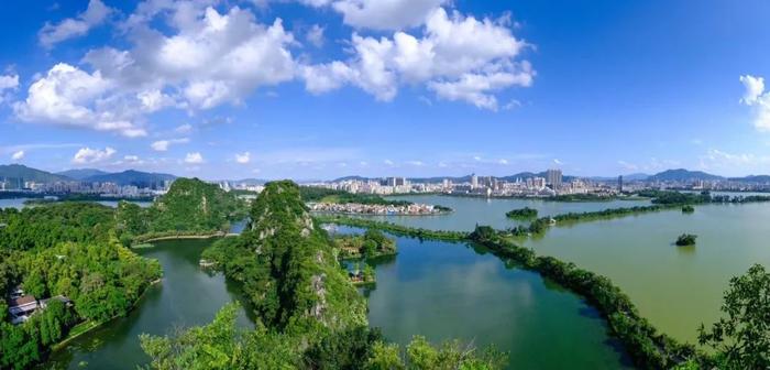 水天一色、仲夏荷花、万竹碧道……7月来肇庆这些地方就对了！