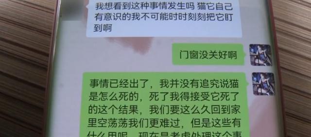 出门旅游让朋友帮养猫，猫跳楼摔死，女子索赔4500元：门窗没关好