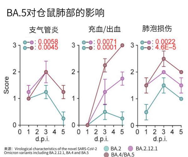 西安出现奥密克戎BA.5，这个全球新的主流毒株有哪些特点