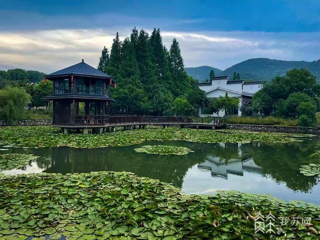 在溧阳龙峰村遇见“莓”好｜行走“新时代鱼米之乡”