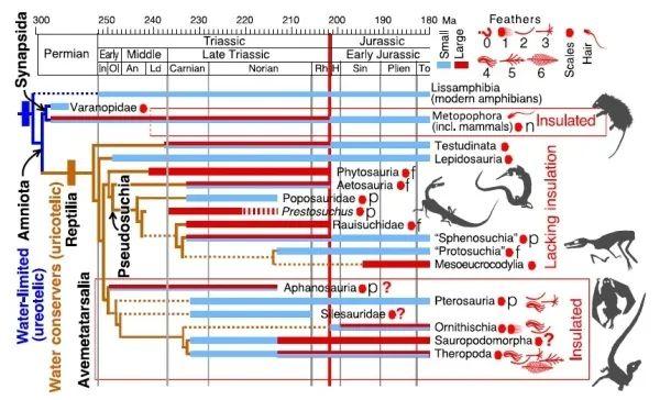 研究揭示三叠纪末陆地生物灭绝和恐龙生态位崛起的原因