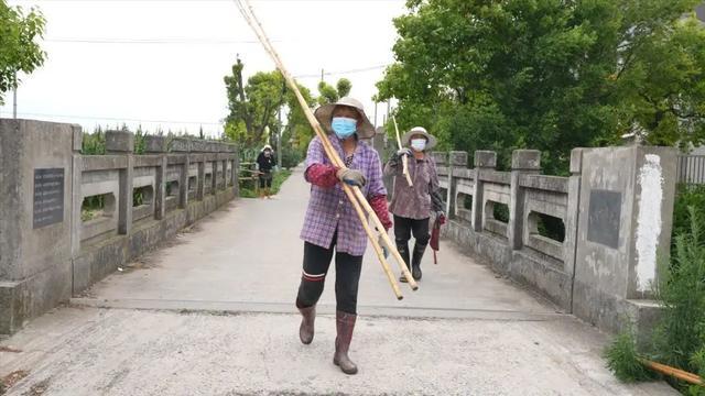 奉贤：烈日炎炎下，这群人守护四团一方净水蓝天