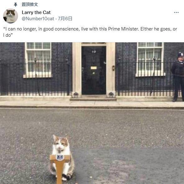 已有50名英国政府官员辞职 连猫都嫌弃约翰逊了