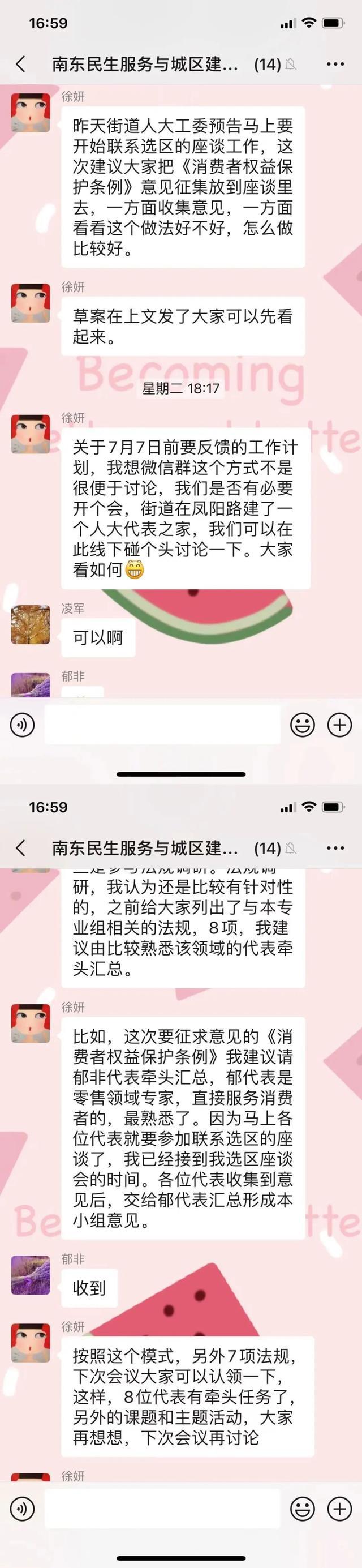 “中华商业第一街”畅购背后，三十余位南东人大代表在奔走