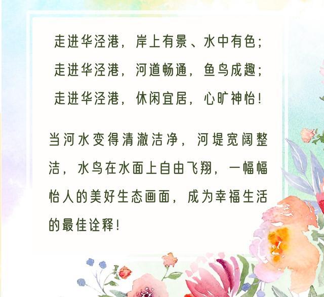 华泾港的灵动之美