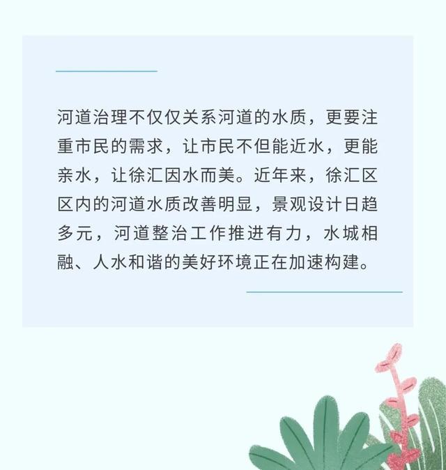 华泾港的灵动之美