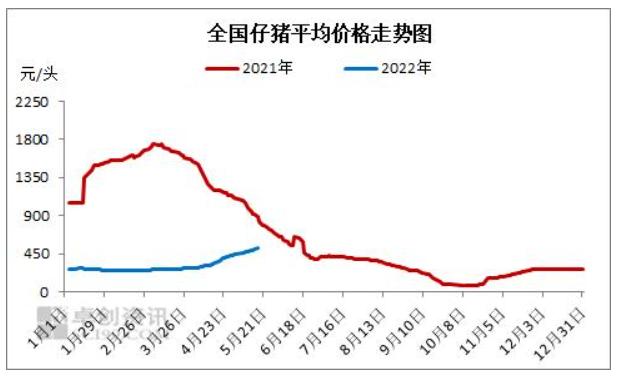 天邦食品董事长张邦辉：今年将是超级周期最后一年，未来规模化养殖会抚平猪周期