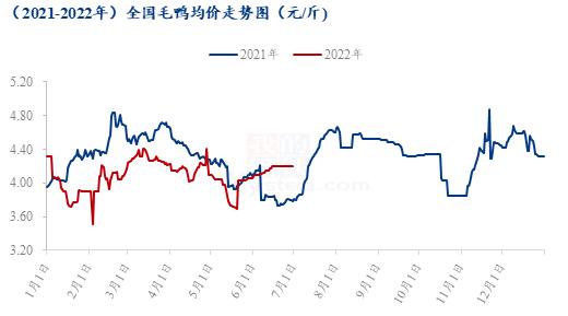 Mysteel解读：白羽肉鸭2022上半年市场回顾及下半年展望