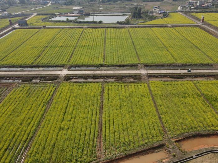 早安韶关 | 韶关首个种植基地通过省“供销农场”示范基地认证