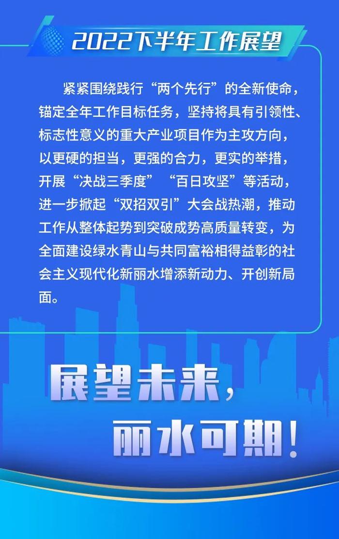 上半年丽水市“双招双引”做了什么？一张图告诉你！