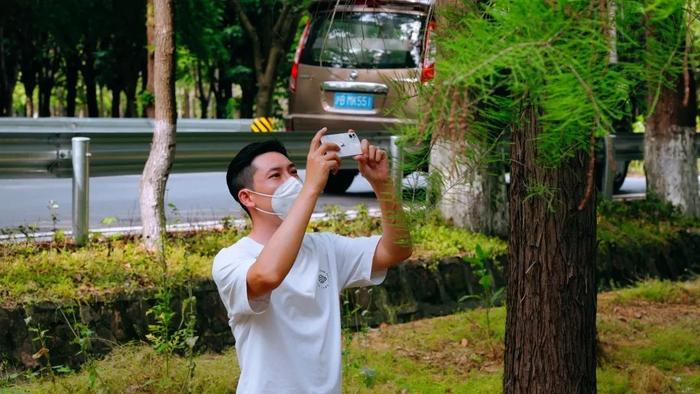 水杉林里打虫虫！防治美国白蛾，赵巷林长在行动