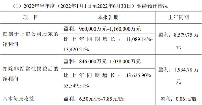 最高预增上百倍！业绩“撑腰”，这个板块下半年有哪些看点？