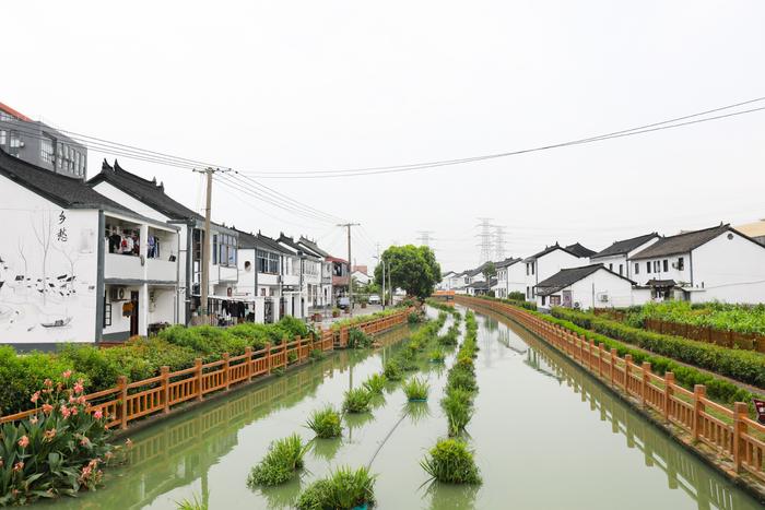 夏令热线 | 村庄管理“小区化”，人居环境“更优化”，车墩镇积极探索乡村治理新模式