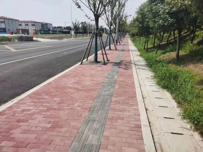 平整柏油路+红砖步道+绿化排水沟，新桥镇这条道路变“靓”了！