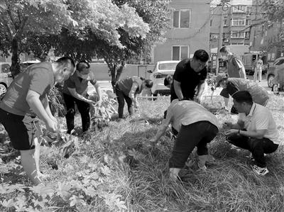 “好人家 门前清” 沈阳皇姑区背街小巷及老旧小区焕然一新